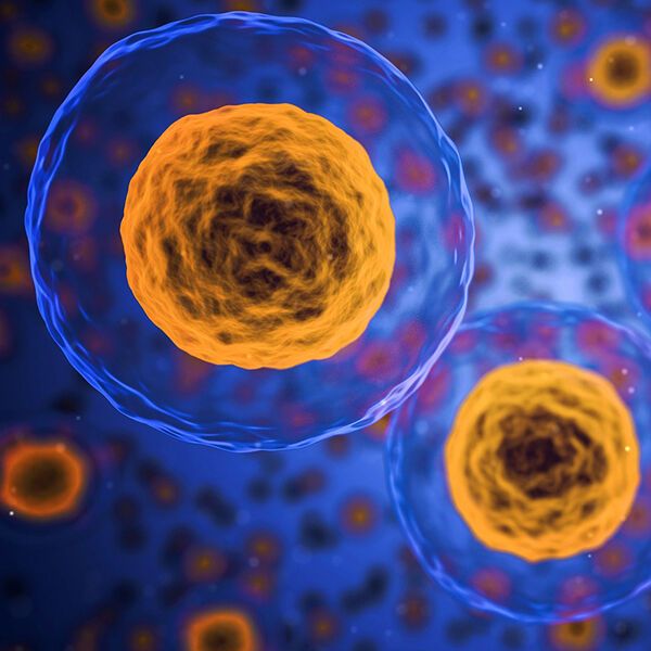 Graph Neural Networks machen Zellkommunikation sichtbar