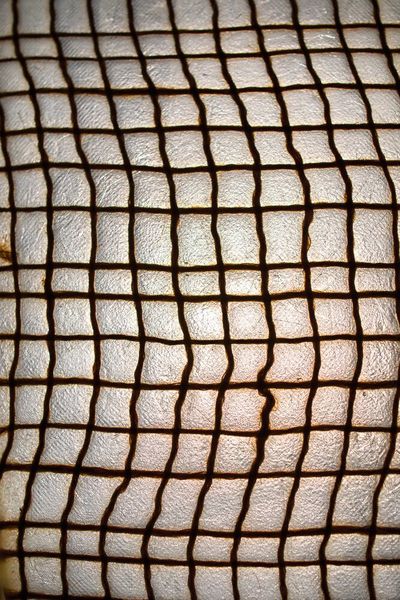 Der Verbundwerkstoff aus Flachs in Verbindung mit dem biologisch, abbaubaren Biopolymer, der aus Mais hergestellt wird. (Polestar)