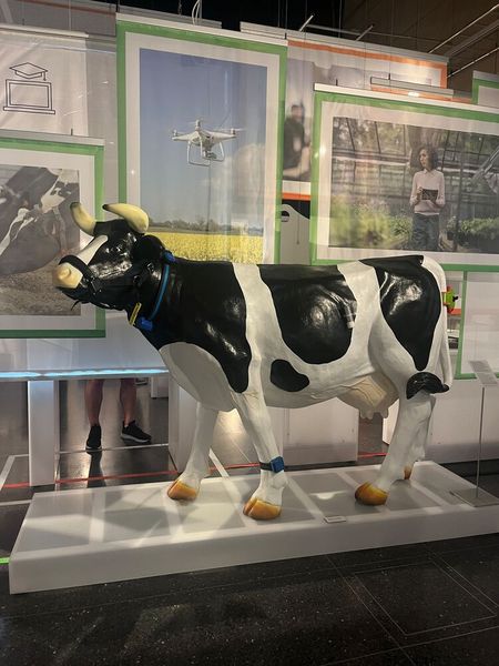 Auch auf Bauernhöfen läuft mittlerweile vieles nicht mehr analog ab. „Smart farming“ unterstützt bei der Bewirtschaftung von Hof, Stall und Feldern. (© cm)