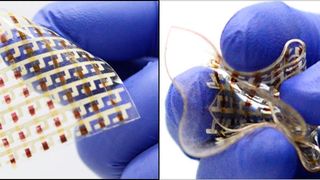 Forscher der Univesität Houston präsentieren ihre Fortschritte im Bereich der dehnbaren Elektronik-Bauteile. (University of Houston)