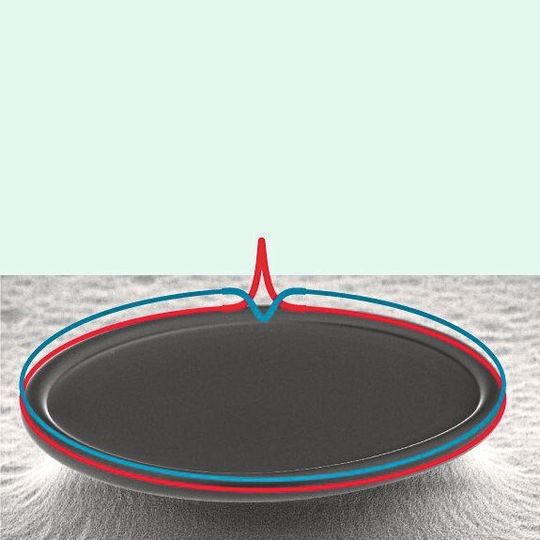 Visualisierung gekoppelter dunkler und heller Lichtimpulse (blau bzw. rot) in einem Mikroresonator, der einen Durchmesser von 235 Mikrometern hat. Visualisierung gekoppelter dunkler und heller Lichtimpulse (blau bzw. rot) in einem Mikroresonator, der einen Durchmesser von 235 Mikrometern hat.