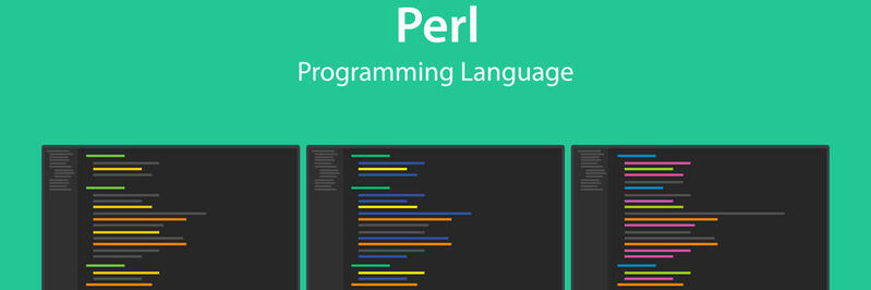 „There's more than one way to do it“, so ein wesentliches Motto der Skriptsprache Perl.