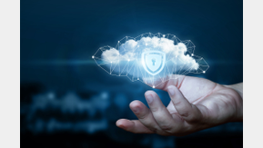 cs4 (© natali_mis_AdobeStock_194336346)