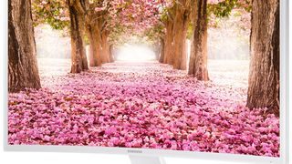 Ganz in weiß präsentiert sich der 27-Zoll-Curved-Monitor S27E591C LED von Samsung. Das VA-Panel liefert die Full-HD-Auflösung. (Bild: Samsung)