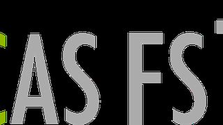iCAS_FS_Logo ()
