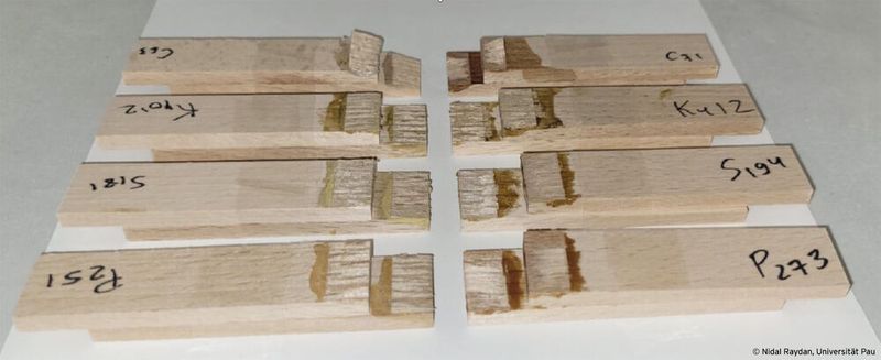 Mit federbasiertem Klebstoff geklebte Prüfkörper aus Holz nach der mechanischen Prüfung. Der Holzausriss zeigt, dass der Klebstoff stärker ist als das Holz. (Bild: Nidal Raydan, Universität Pau)