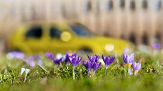 Autoabo-Anbieter sprießen aktuell wie Frühlingsblumen aus dem Boden.  (Bild: © Pink Badger - stock.adobe.com)
