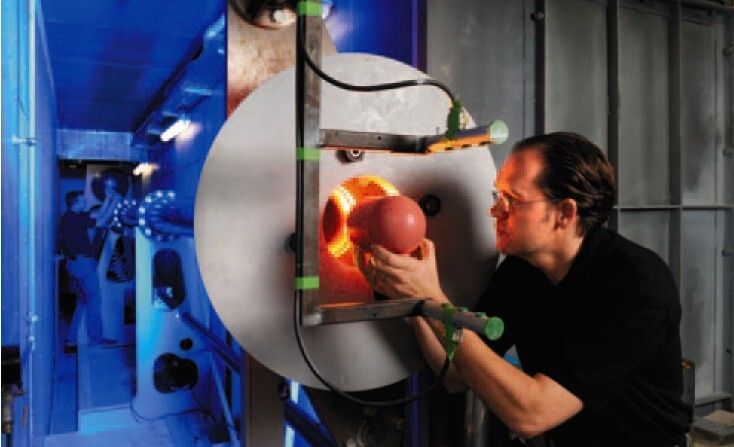 DLR-Kunstvogel realitätsnahe Simulation von Flugzeug Tier-Unfällen (Bild: DLR)