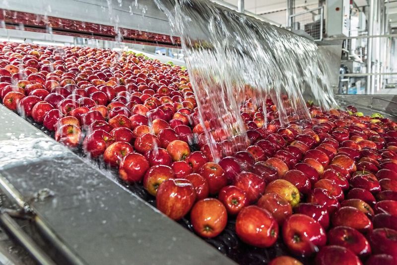 Auch beim Obst-Waschen fallen Daten an, die die Conditorei Coppenrath & Wiese mithilfe von Resma verwerten kann. (Bild: Timo Lutz Werbefotografie)