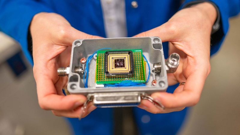 Eine von Forschern der UC Berkeley entwickelte „elektronische Nase“ kann die von verdorbenen Lebensmitteln und Lebensmittelallergenen abgegebenen Gase besser erkennen als die menschliche Nase.(Bild:  Brandon Sánchez-Mejia/UC Berkeley)