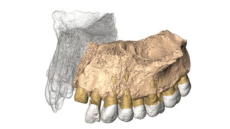 Dieselbe Konfiguration wie zuvor, aus einem schrägen Blickwinkel (Universität Wien)