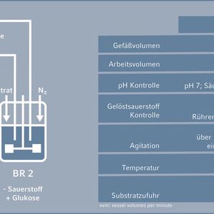 (Eppendorf)