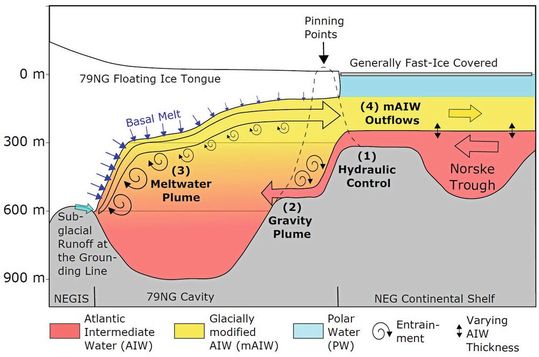 Schema der Zirkulation in der Kaverne und der Wassermassen am 79°-Nord-Gletscher.(Bild:  Janin Schaffer, Alfred-Wegener-Institut)