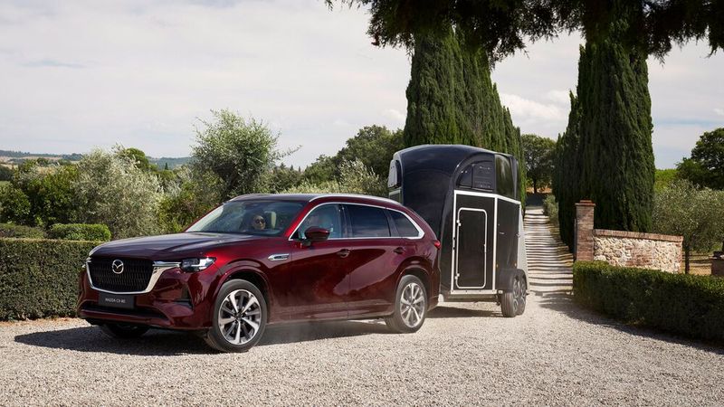 Mit 2,5 Tonnen Anhängerlast ist der CX-80 das ideale Gefährt für Pferdeliebhaber. (Bild: Mazda)