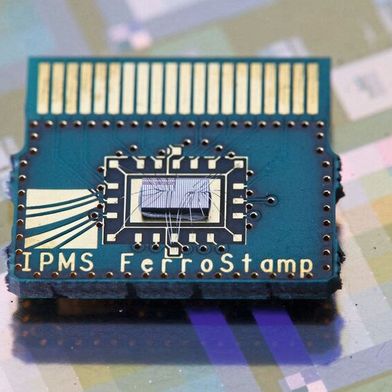 Langjährige und enge Zusammenarbeit (v. l.): Dr. Sven Beyer (GlobalFoundries), Dr. Nandakishor Yadav, Dr. Franz Müller, Konrad Seidel und Dr. Maximilian Lederer (Fraunhofer IPMS). (Bild: Fraunhofer / Piotr Banczerowski)