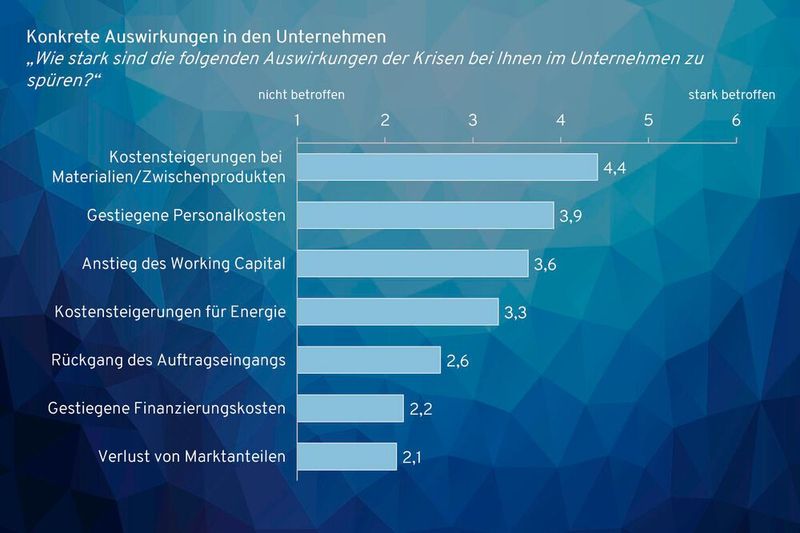 Auch die steigenden Kosten machen den Befragten zu schaffen.  (Bild: Munich Strategy)