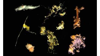 Kleine, marine „Schneeflocken“ spielen eine wichtige Rolle im Nährstoffhaushalt der Meere. Die in dieser Collage abgebildeten Partikel sind stark vergrößert – in Wirklichkeit sind sie nur etwa so groß wie Haar. (Bild: C. Karthäuser und S. Ahmerkamp / Max-Planck-Institut für Marine Mikrobiologie)