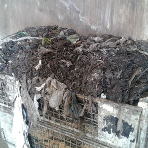 (Witzenhausen-Institut)