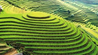 Auf Watchguards einheitlicher Cloud-Plattform sollen sich sämtliche Security-Tasks einfach überblicken lassen. (Hien Phung - stock.adobe.com)