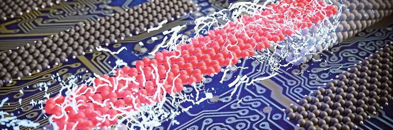 Gemeinsam mit einem internationalen Team an Forschenden haben Empa-Wissenschaftler erfolgreich einzelne atomar präzise Nanobänder mit Elektroden versehen.