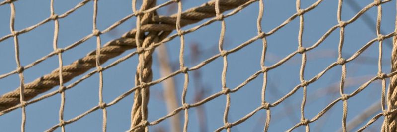 Alles mit allem vernetzen: Das klappt jetzt auch mit Bluetooth.(Bild:   / CC0)