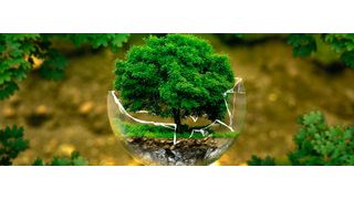 Jeder Besucher des VMware Briefing Center bekommt hierzulande Samen und Erde sowie ein Zertifikat über einen Baum, der in Nicaragua gepflanzt wird.  (ejaugsburg auf Pixabay)