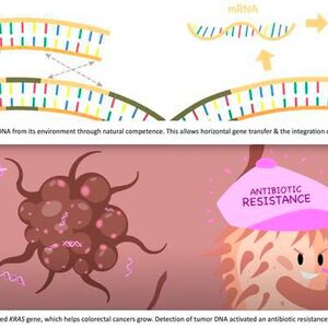 Researchers Engineer Bacteria That Can Detect Tumor DNA