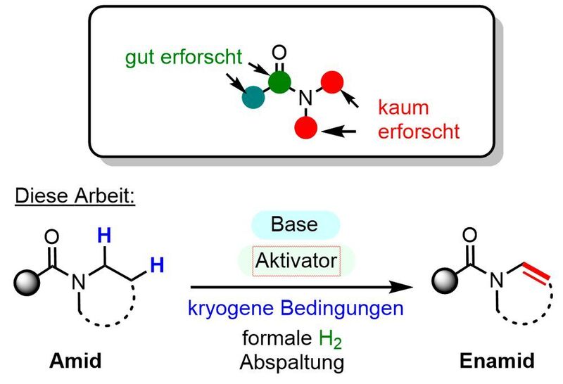 Ein neues Reaktionsdesign erlaubt die Synthese vielseitig einsetzbarer Enamide. (Maulide Gruppe/ Philipp Spieß)