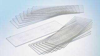 Abb.1: Mikrostrukturen im Objektträger-Format. (Archiv: Vogel Business Media)