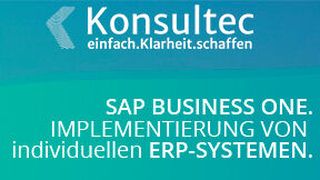 0118161164 (Bild: Konsultec)