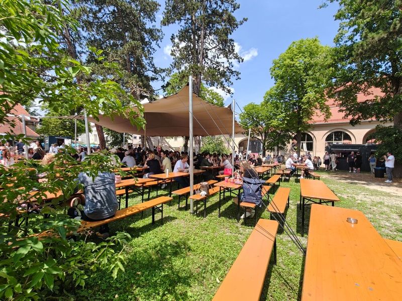 Auf der Wiese stehen Foodtrucks, Bierbänke und Sonnenstühle. Ein DJ sorgt für die musikalische Begleitung bis in den Abend. (Bild: © Serina Sonsalla)
