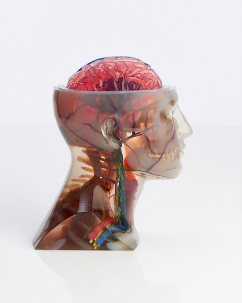 Die 3D-Drucker J750 von Stratasys können den Vollfarb-3D-Druck mit mehreren Materialien kombinieren.  (Stratasys)