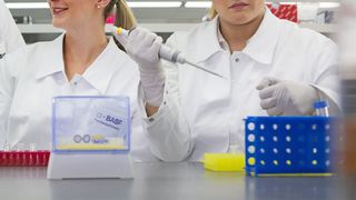 Laborleiterin Carmen Hendricks-Guy (links) und die Forschungsassistentinnen Jessica Stone (Mitte) und Sarah Deisenroth (rechts) arbeiten im Forschungszentrum für Weiße Biotechnologie von BASF in Tarrytown, New York, an der Optimierung von Mikroorganismen, um biobasierte Chemikalien zu produzieren. (BASF - The Chemical Company)