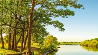 Der schöne Schein trügt: Viele deutsche Gewässer sind mit Pfanzenschutzmittelrückständen belastet. (Bild: Günter Albers - stock.adobe.com)