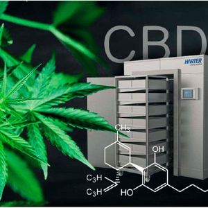 (©cendeced - stock.adobe.com; Harter; [M]Götzelmann)