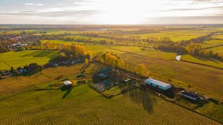 Die Nutzung von landwirtschaftlichen Flächen ist im Bereich der Fördermittelverwaltung an verschiedene Prüfanforderungen geknüpft. (©Adobe Stock)