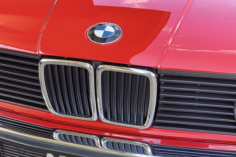 Das waren noch Zeiten, als BMWs Niere noch geschmackvoller Bestandteil der Fahrzeugfront war. (Bild: Meyer-Hafner)