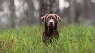 0114357410 (Bild: privat)