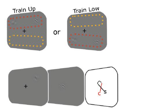 Die Studienteilnehmer bewerteten die Neigung der Patches unterschiedlich, je nachdem, ob sie im unteren oder oberen Bereich des Testfelds erschienen.(Bild:  Schaffner et.al. 2023)