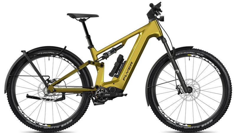 Während der Hauptrahmen aus Carbon besteht, ist die Hinterradschwinge aus Aluminium. (Bild: Flyer/pd-f)