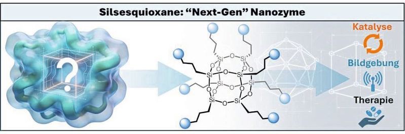 Nanozyme ahmen Eigenschaften von natürlichen Enzymen nach. Sie könnten die Katalyse nachhaltiger gestalten und Wirkstoffvorstufen in Zellen aktivieren. (Bild:   Schematische Darstellung von Silsesquioxanen als Nanozyme für Katalyse, Bildgebung und Therapie. Pierre Picchetti, KIT)