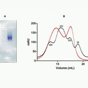 (Bild: Wyatt Technology)