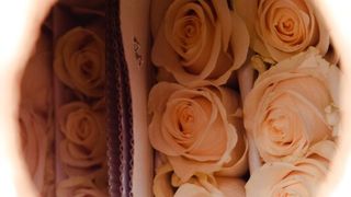  (Bild: Lufthansa Cargo)