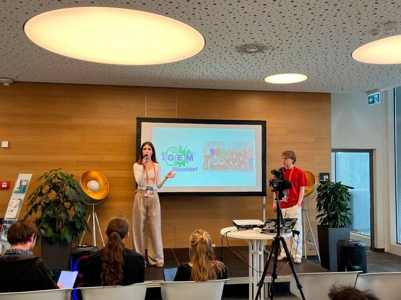 Die verschiedenen iGEM-Teams treffen sich regelmäßig, um ihre Projekte vorzustellen und zu diskutieren. Hier präsentieren Nina Wewers und Ole Nielsen das HHU-Projekt Cozyme beim „European Meet Up“ in Hamburg. (Bild: Aniela Jakimowicz / HHU)