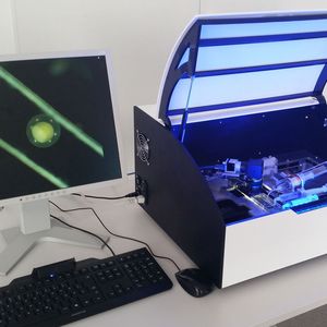 Prototyp des automatisierten Fischeisortierers.