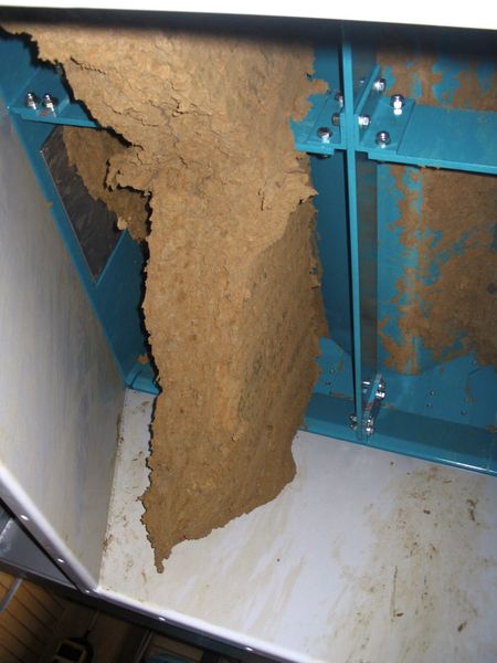 Klärschlamm im Oszillomat Austragesystem  (Bild: Geroldinger)