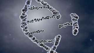 Eine Forschergruppe der TU Dresden hat das Prinzip, aus der DNA gezielt Gene abzuschalten, verfeinert.  (©Tatiana Shepeleva - stock.adobe.com)