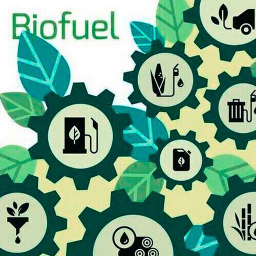 The expected annual capacity of 200,000 tons will create a 400,000-ton reduction in CO2 emissions. The expected annual capacity of 200,000 tons will create a 400,000-ton reduction in CO2 emissions.