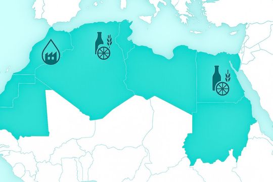 Ägypten, Algerien und Marokko bauen ihre Nahrungsmittelproduktion mit Investitionen in dreistelliger Millionenhöhe aus.GPT Image Editor(Bild:  GPT Image Editor / KI-generiert)