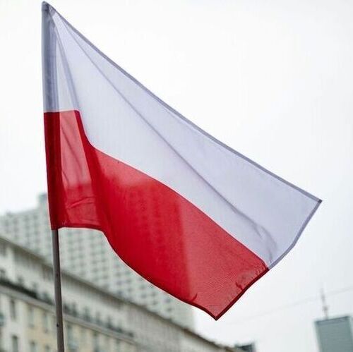 Orlen has secured certification under the Oil and Gas Institute’s KZR Inig sustainability scheme for the co-hydrotreatment of bio-based feedstocks at its Płock refinery in Poland. (Source: ©  Unsplash)